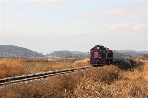 Train Travel Transportation Free Photo On Pixabay Pixabay