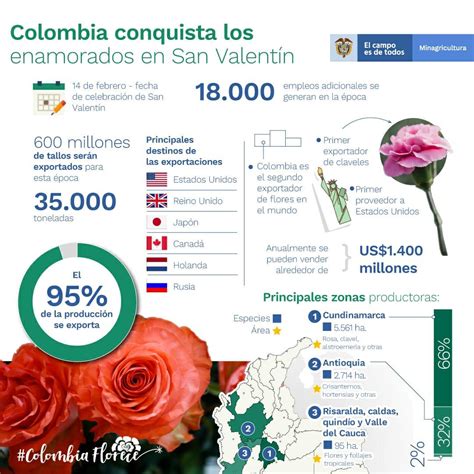 Para La Celebraci N Del San Valent N Colombia Exporta Mil Toneladas