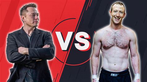 Elon Musk Fordert Mark Zuckerberg Heraus Bekommen Wir Den Cage Fight