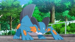 Swampert Evolution