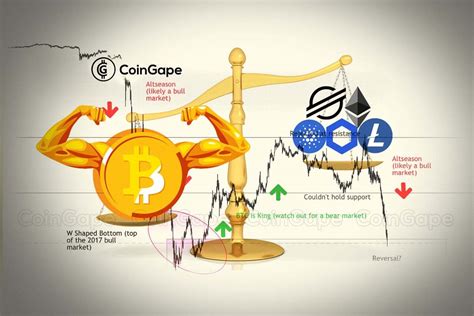 Bitcoin Dominance Chart Meaning And How To Trade Leveraging It