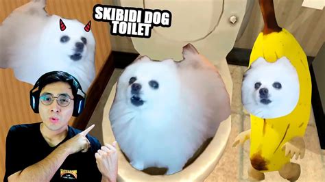 Reacciono A Los Skibidi Toilets Del Universo Canino Jehxtp Youtube