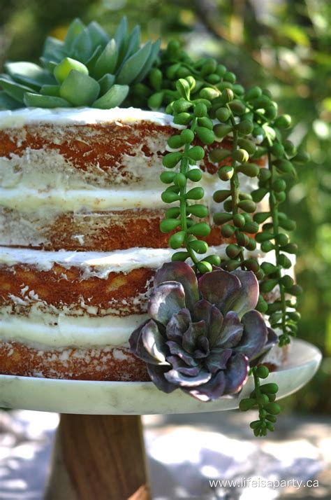 Succulent Naked Cake Succulent Wedding Cakes Succulents Country