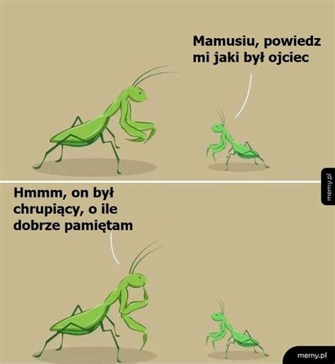 Mama Modliszka Memy Pl