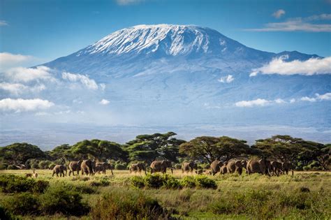 10 Reasons Why Climbing Kilimanjaro Should Be On Your Bucket List