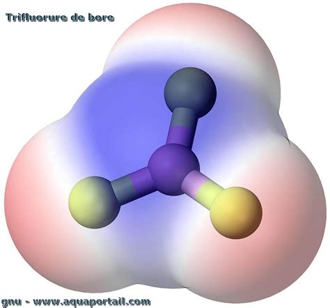 Apolaire D Finition Et Explications