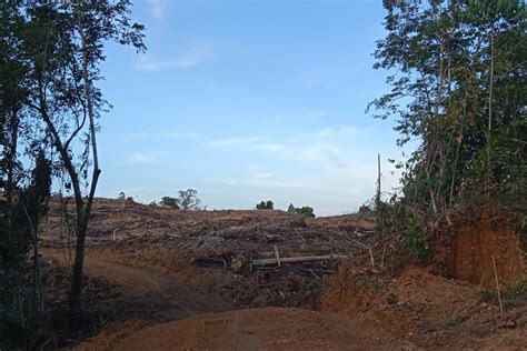 Putri Nurjannah Kurita Jayapura Archives Mongabay Co Id