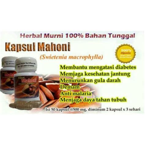 Jual BIJI MAHONI Kapsul Herbal Bronkitis Asma Sirosis Hati Hepatitis ...