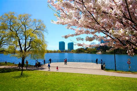 High Park In Toronto A Biological And Recreational Preserve Go Guides