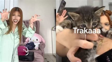 ¿qué Significa Traka En Tiktok ¿a Qué Se Debe Su Popularidad