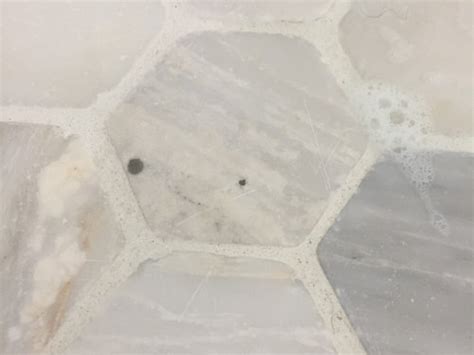 Black Spots On Newly Installed Marble Floor