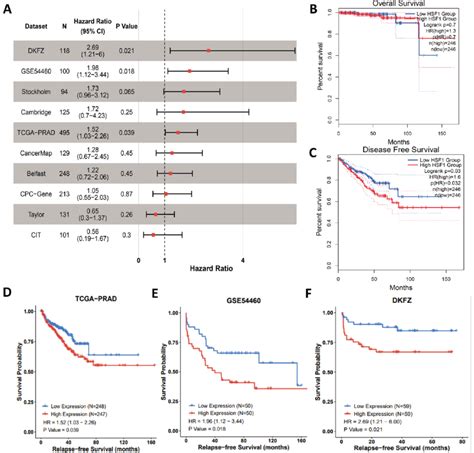 Survival Analysis Of Hsf1 A Forest Plot Of The Univariate Cox Download Scientific Diagram