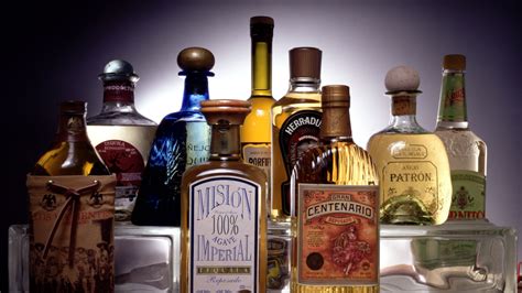 6 Different Types Of Tequila, Explained