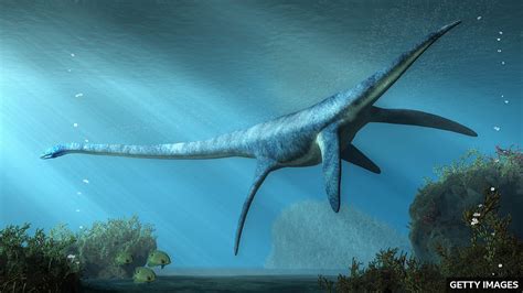 Rare Plesiosaur Fossil Found In Australian Outback 澳大利亚内陆发现罕见蛇颈龙化石 Cn