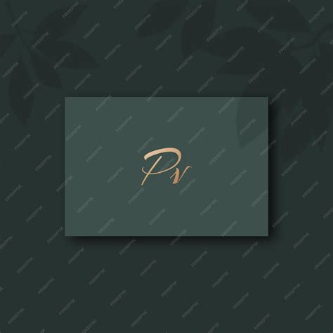 premium vector pv logo design template