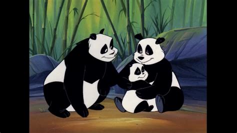 Panda Bears Animated Character Database Fandom