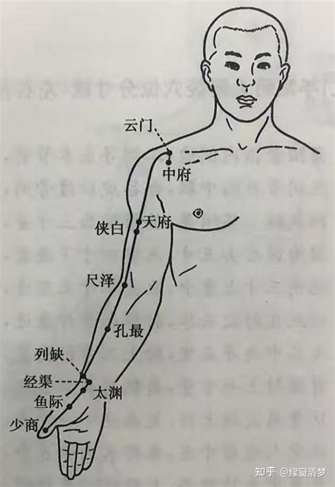 倪海厦针灸课笔记（10）— 手太阴肺经诸穴 知乎