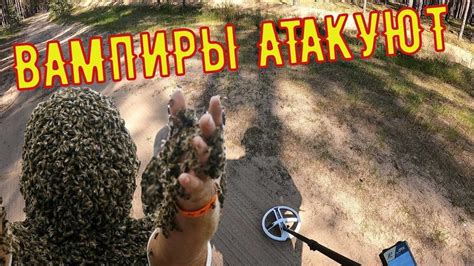 XP ORX!!! Лесная дорога в бору. - YouTube