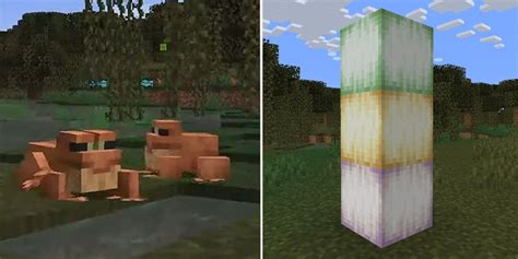 Minecraft: Frogs, Explained