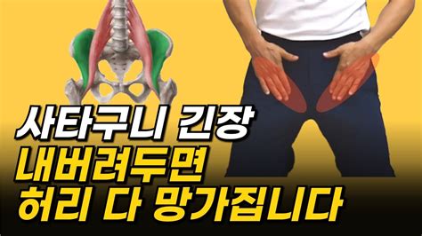 허리통증이 사라지는 시간 딱2분 강남 재활필라테스 대표가 알려주는 장요근재활 골반스트레칭 Youtube