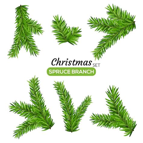 Premium Vector Set Of Fir Branches Christmas Tree Or Pine Branch