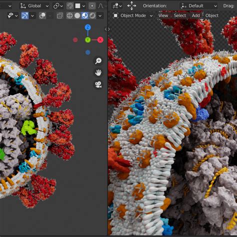 A Scientifically Accurate 3d Model Of Sars Cov 2 Cgtrader