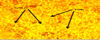 The carbon steel microstructure (substrate) | Download Scientific Diagram