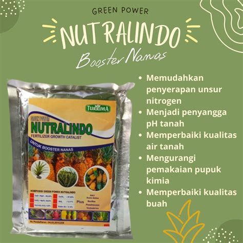 Jual Pupuk Nanas Pupuk Nanas Madu Pupuk Nanas Yang Bagus Pemupukan