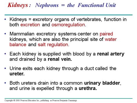 Chapter Osmoregulation And Excretion Overview A Balancing