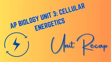 Unit 3 Cellular Energetics AP Biology RECAP YouTube