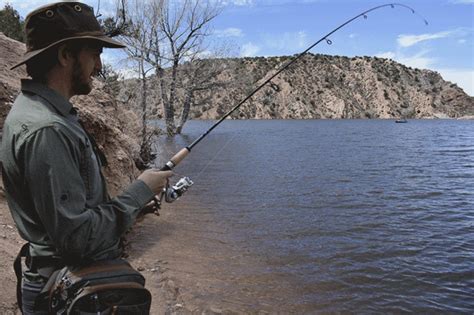 Pesca Esportiva Conhe A Seus Benef Cios Mar Sem Fim