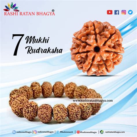 Buy Certified Mukhi Rudraksha Online In India Mukhi Rudraksha