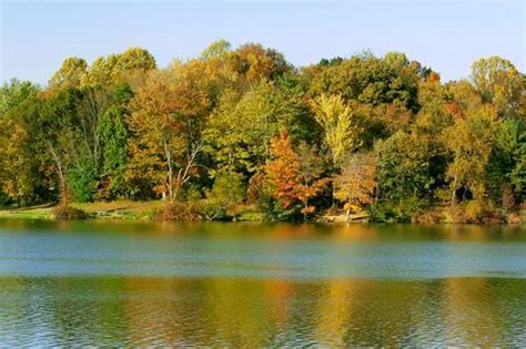 Three Ohio parks named ‘hidden gems’ for seeing fall foliage ...