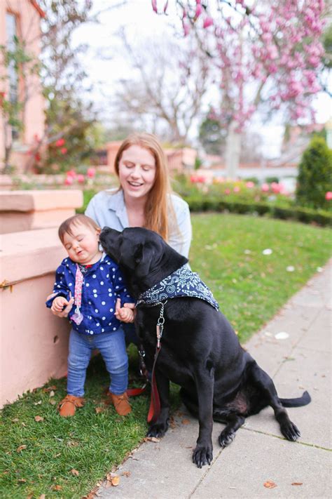 Urgent People Adore The Black Lab Rescue Los Angeles Rescue Team Don't Miss! - DIDX WebRTC Gateway