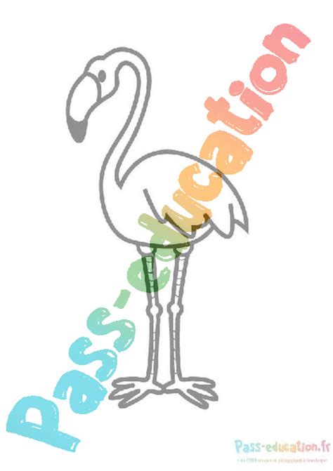 Coloriage gratuit Flamant rose PDF à imprimer