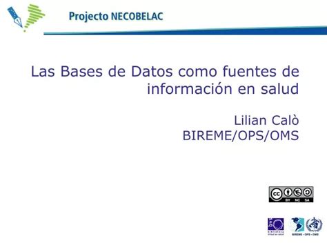 Ppt Las Bases De Datos Como Fuentes De Información En Salud Lilian