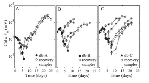 Fluorescence Based Measure Of Biomass Chl A F M For Db Samples And Download Scientific