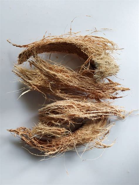 Pin On Coconut Husk Fiber