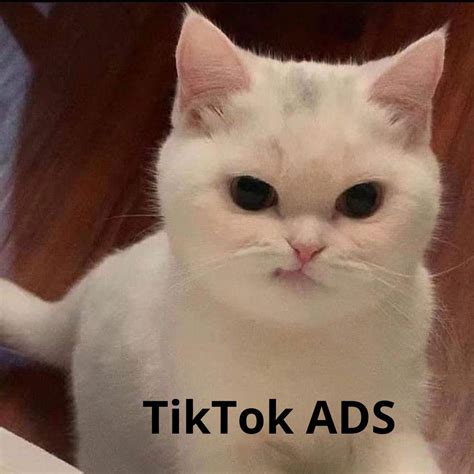 Tik Tok Ads Make Yourself Known In Italy Instasamy