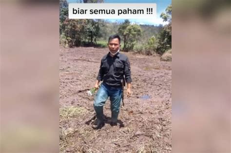 Tanaman Bunga Rawa Yang Rusak Di Ranca Upas Masuk Kategori Sangat