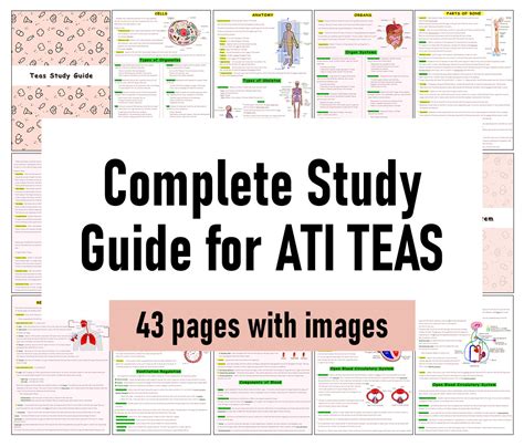 The Complete Ati Teas Study Guide Etsy