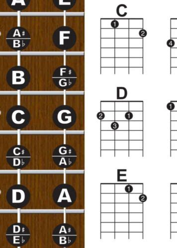 Left Handed Baritone Ukulele Fretboard And Chord Wall Chart Poster Uke