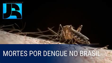 Número de mortos por dengue no Brasil chega a 32 YouTube