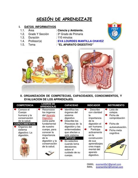 Sesion De Aprendizaje El Sistema Digestivo Prof Eva Mantilla Ch SesiÓn De Aprendizaje Del