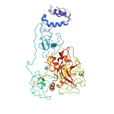 RCSB PDB - 6C2W: Crystal structure of human prothrombin mutant S101C/A470C