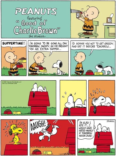 Pin On Peanuts By Charles Schulz