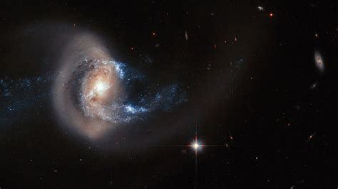 The Tell Tale Signs Of Galactic Merger