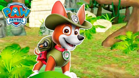 Paw Patrol The Jungle New Location With A Puppy Tracker Youtube