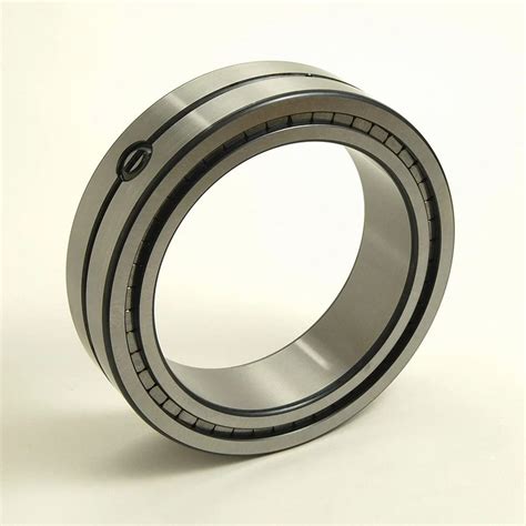 Ina Full Complement Cylindrical Roller Bearing Sl 18 50 Series Bore