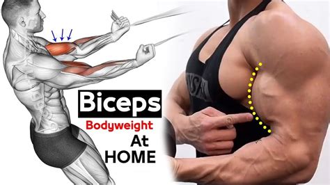 How To Build Your Biceps At Home تمارين البايسبس Youtube